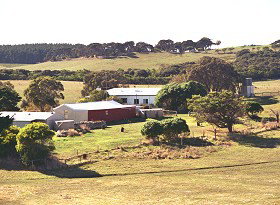 Sun Valley Eco Farm - Accommodation Georgetown 0