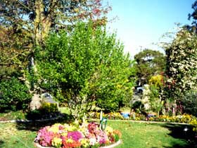 Jolly Swagman Caravan Park - Accommodation Georgetown 0