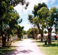 Bathers Paradise Caravan Park - Accommodation Georgetown