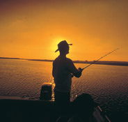 Point Stuart Wilderness Lodge - Accommodation Georgetown