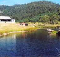 Millybrook Lodge - Accommodation Georgetown