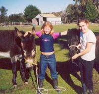 Grampians Sunrise Holiday Villas - Accommodation Georgetown