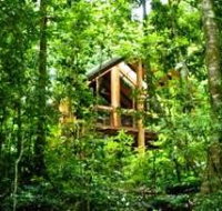 Fur'N'Feathers Rainforest Tree Houses - Accommodation Georgetown