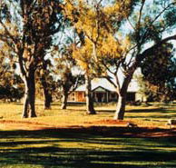 Blue Gum House - Accommodation Georgetown