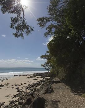Sofitel Noosa Pacific Resort - Accommodation Georgetown 36