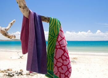 Sofitel Noosa Pacific Resort - Accommodation Georgetown 38