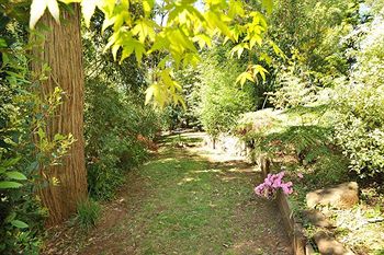 Holly Lodge - Accommodation Georgetown 4