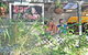 Nomads Noosa Backpackers Hostel - thumb 11