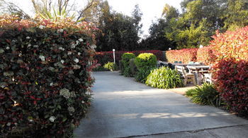 Branxton House Motel, Hunter Valley - Accommodation Georgetown 13