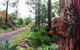 Uluramaya Retreat Cabins - thumb 2