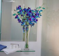 Grand Hotel Wyong - Accommodation Georgetown