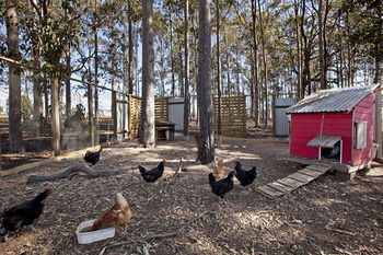 Block Eight - Accommodation Georgetown 10