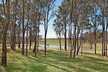 Block Eight - Accommodation Georgetown 17