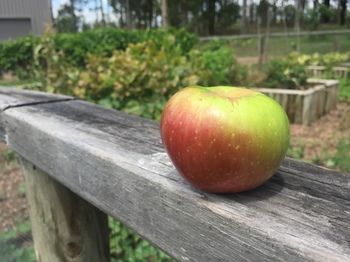 Block Eight - Accommodation Georgetown 38