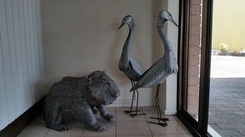 Motel In Nambour - Accommodation Georgetown 7