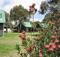 Derwent Bridge Chalets  Studios - Accommodation Georgetown