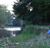 Gentle Annie Caravan and Camping Reserve - Accommodation Georgetown