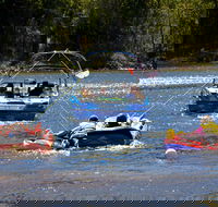 Lake Dyer - Accommodation Georgetown