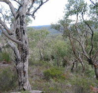 The Glen - Accommodation Georgetown