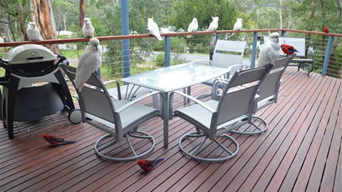 Blue Ridge Retreat - Accommodation Georgetown 2