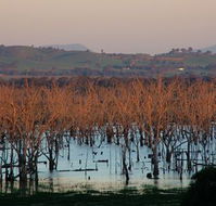 Salisbury - Accommodation Georgetown