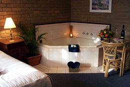 Albury Classic Motor Inn - Accommodation Georgetown 2