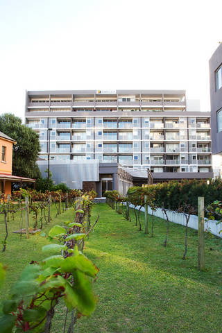 B7 Honeysuckle Apartments - Accommodation Georgetown 1
