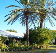 Merino Motor Inn - Accommodation Georgetown