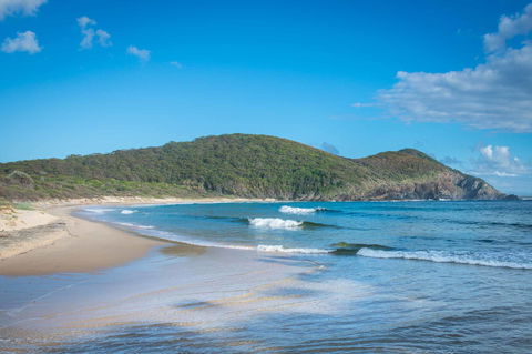 Pacific Palms Resort - Accommodation Georgetown 9