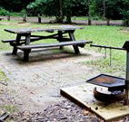 Bellbird campground - Accommodation Georgetown