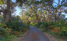 BIG4 South Durras Holiday Park - Accommodation Georgetown 4