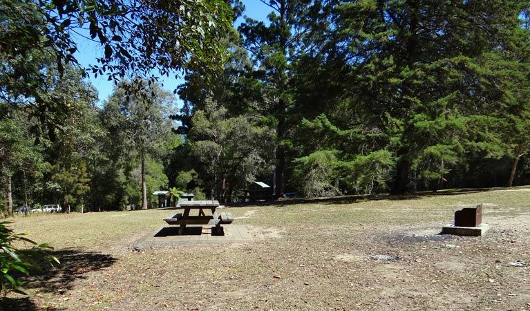 Back Creek NSW Accommodation Georgetown