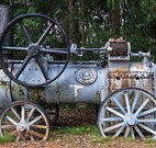Dingo Tops campground - Accommodation Georgetown