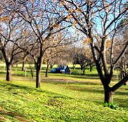 Wellington Caves Caravan Park - Accommodation Georgetown