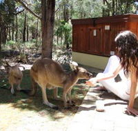 Yelverton Brook Eco Spa Retreat and Conservation Sanctuary - Accommodation Georgetown