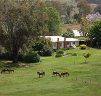 Acacia Park Farm House - Accommodation Georgetown