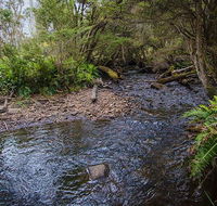 Horse Swamp campground - Accommodation Georgetown