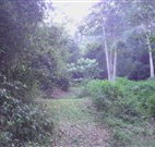 Macas Camping Ground - Accommodation Georgetown