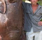 Michael's Clarence Valley Retreat - Accommodation Georgetown