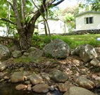 Mt Warning Rainforest Park - Accommodation Georgetown