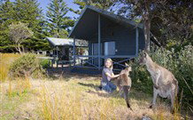Murramarang Beachfront Nature Resort - Accommodation Georgetown 10