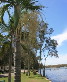 Pelican Park - Accommodation Georgetown 2