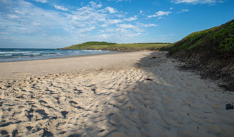 Racecourse Campground - Accommodation Georgetown 2