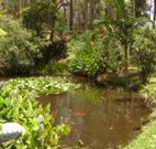 Tallowood Ridge B and B - Accommodation Georgetown