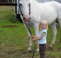 Three Waters High Country Holidays - Accommodation Georgetown