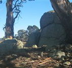 Warreen Farmstay Rural Accommodation - Accommodation Georgetown