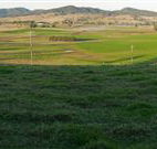 Leconfield House - Leconfield - Accommodation Georgetown