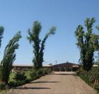 Newell Motor Inn - Narrandera - Accommodation Georgetown