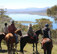 Reynella Homestead and Horseback Rides - Accommodation Georgetown