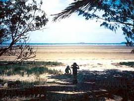 Midge Point QLD Accommodation Georgetown